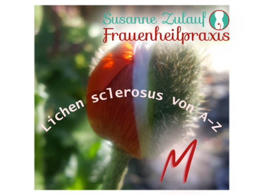 Lichen sclerosus und die Menstruation – Warum verändern sich die Beschwerden im Laufe des Zyklus?